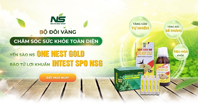 Bộ đôi sản phẩm Bào tử lợi khuẩn Intest SPO NSG và Yến sào One Nest