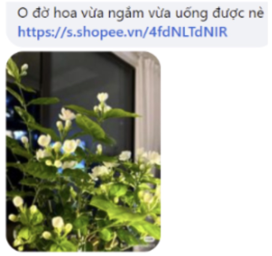 Ví dụ hợp lệ: ảnh cây hoa đi kèm đúng link cây hoa đó